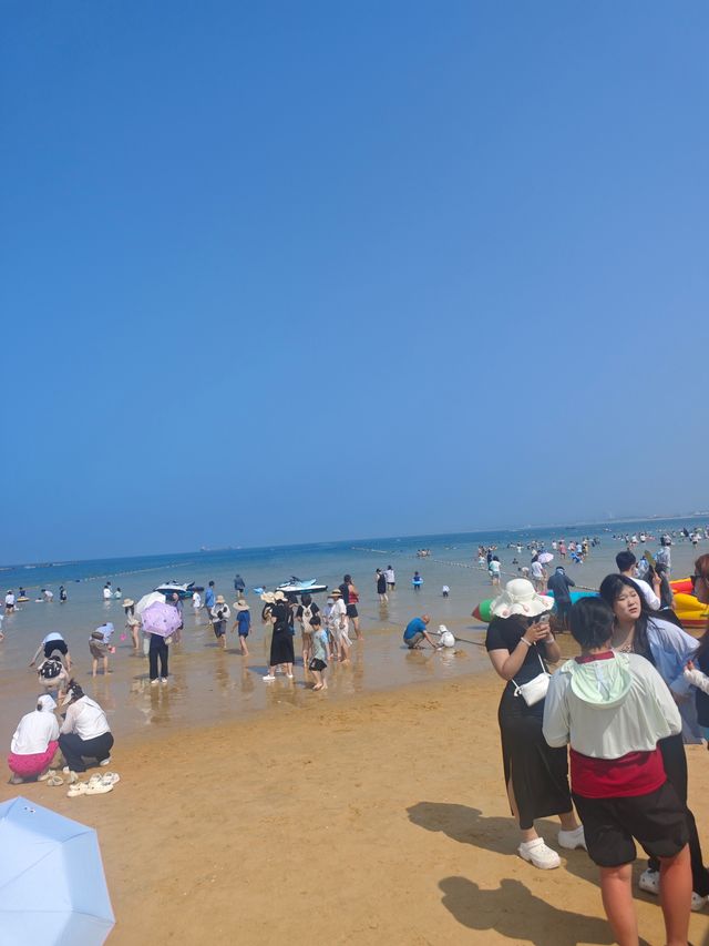 煙台養馬島｜闖入宮崎駿漫畫裡的治癒海島