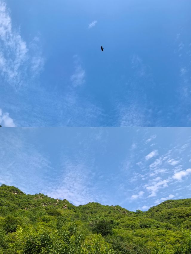 紅林村尋古——黃寶峪古廟遺址