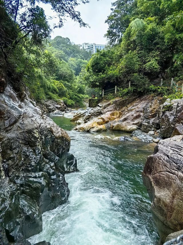 深圳2.5小時直達南昆山，避暑勝地！
