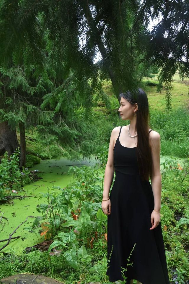綠野仙蹤 雨天嘅庫爾德寧