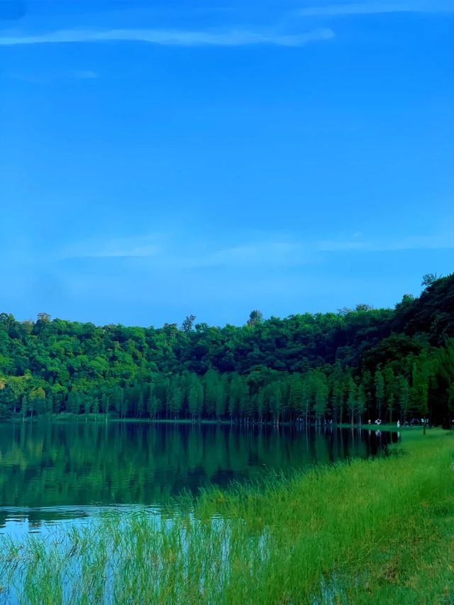 湖光岩超實用攻略，瑪珥湖美景唔好錯過