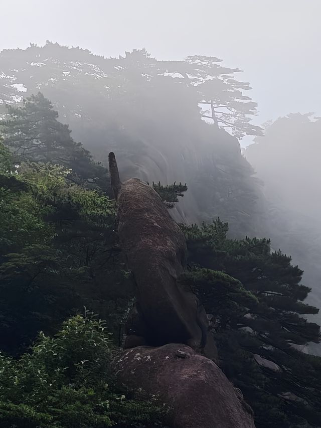 黃山「避雨」實錄：暴雨預警下的驚喜晴日與雲海奇觀