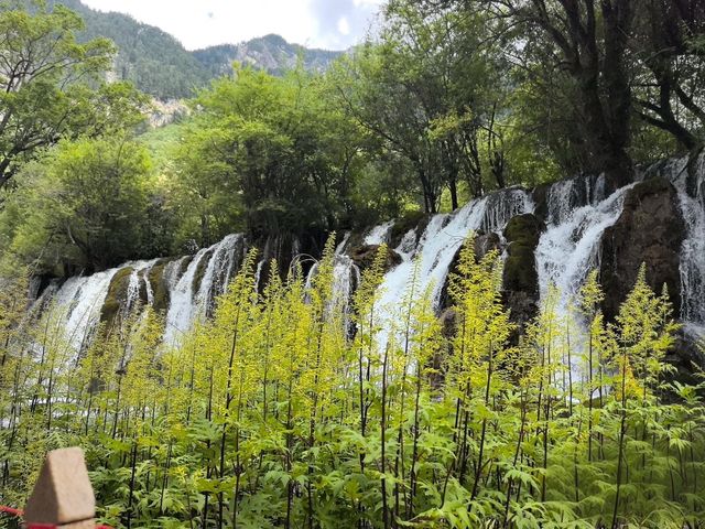 《九寨溝自駕三日遊指南：成都出發，邂逅川西秘境》