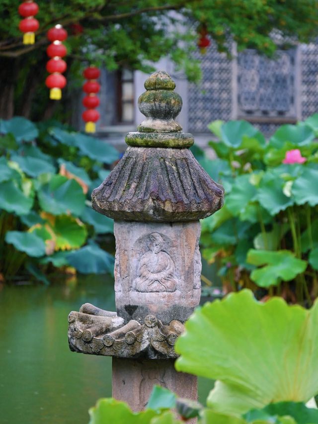 喺寧波，我去過最靚嘅古風荷塘