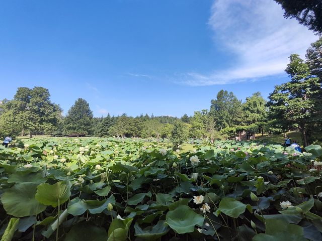 中牟：穿越千年的詩意棲居地  
🌟 中牟：穿越千年的詩意棲居地

📜中牟前世今生  
翻開歷史的畫卷，中牟這座縣城默默訴說著2500多年