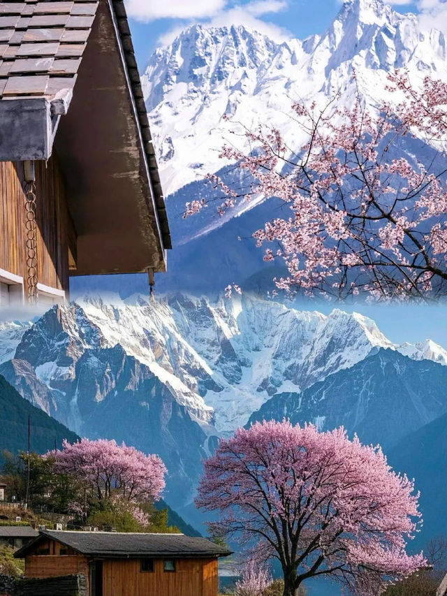 西藏林芝｜被低估嘅寶藏地！雪山桃花藏寨，隨手一拍就係大片！