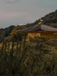 看過一次金閣寺，還想再看一萬次！
