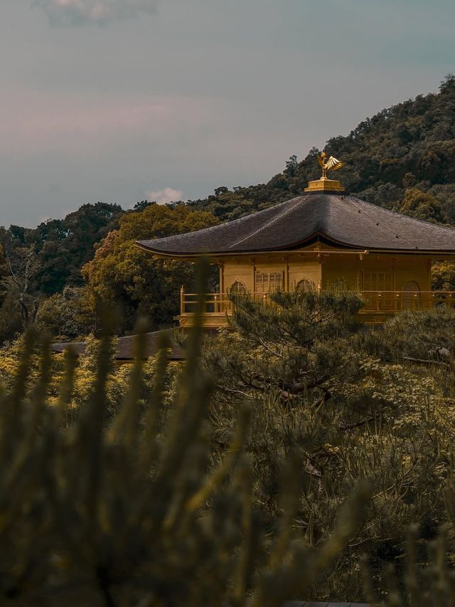 看過一次金閣寺，還想再看一萬次！