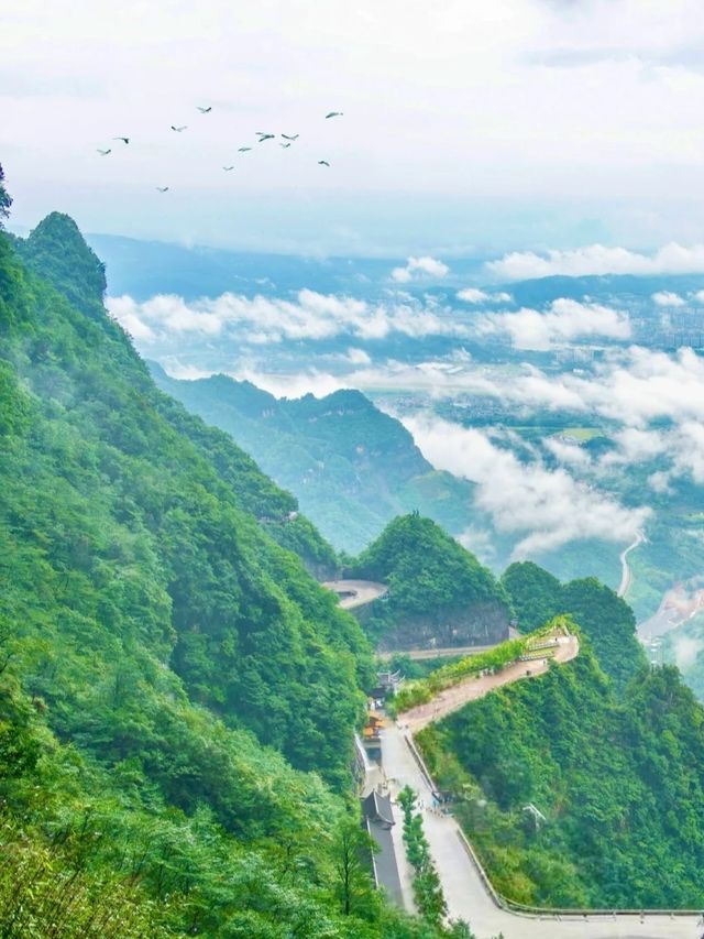 張家界避暑秘境全息地圖