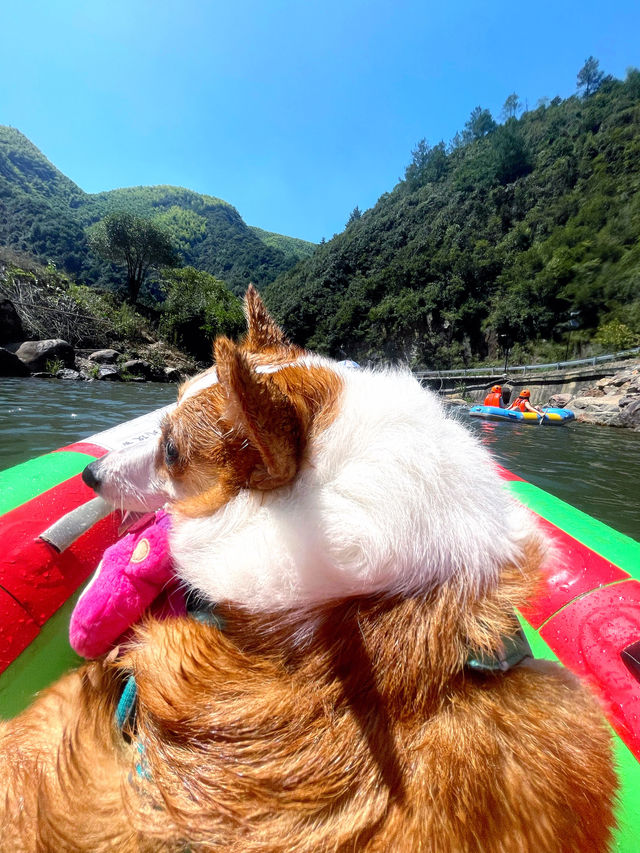 躲入涼爽小城過夏天，安吉夏日消暑指南！