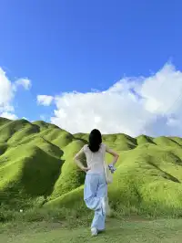 寧德柘榮鴛鴦草場。