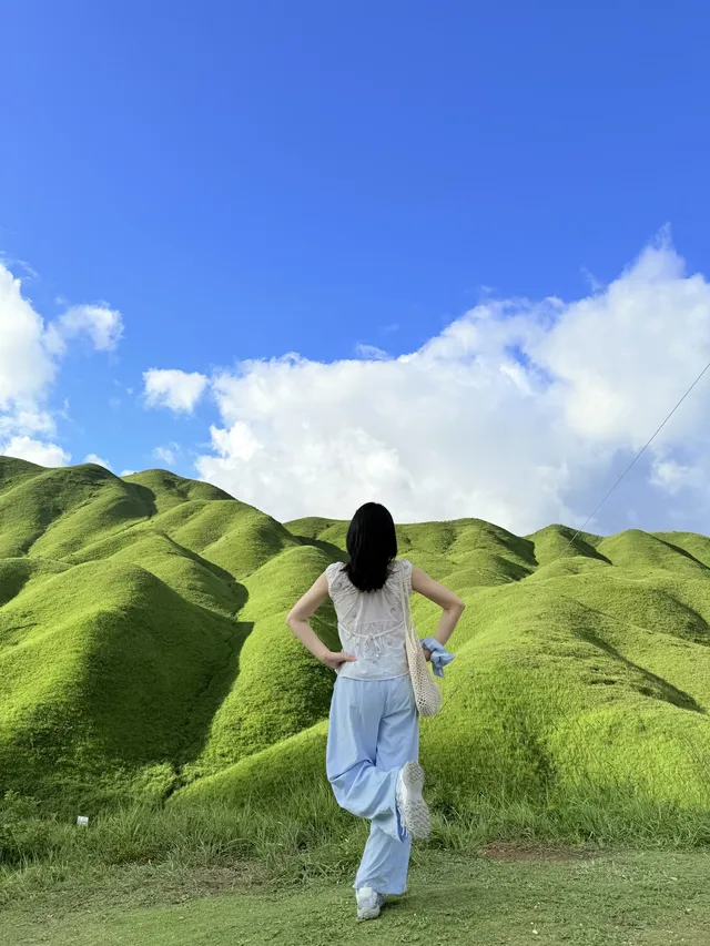 寧德柘榮鴛鴦草場。