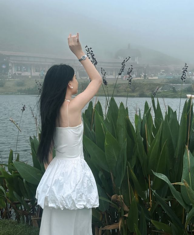 周末拉着姐妹自駕郴州仰天湖大草原！
