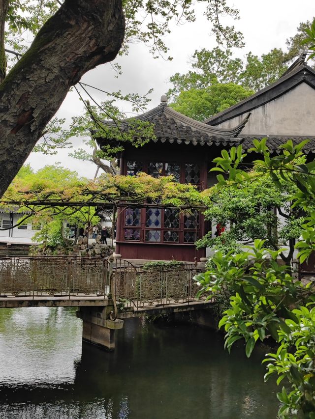 同里冷門拍照點|耕樂堂荷池:明老宅裡的夏意 同里冷門拍照點|耕樂堂荷池:明老宅裡的夏意