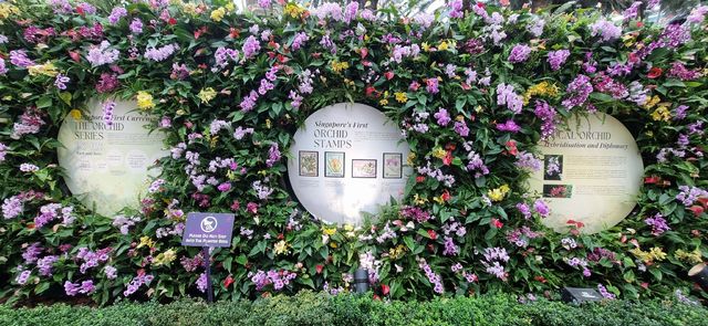 Spectacular Floral Display at the Flower Dome Spectacular Floral Display at the Flower Dome