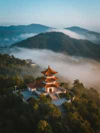 蜀南竹海秋天變身童話世界！這個竹林秘境美得不像話