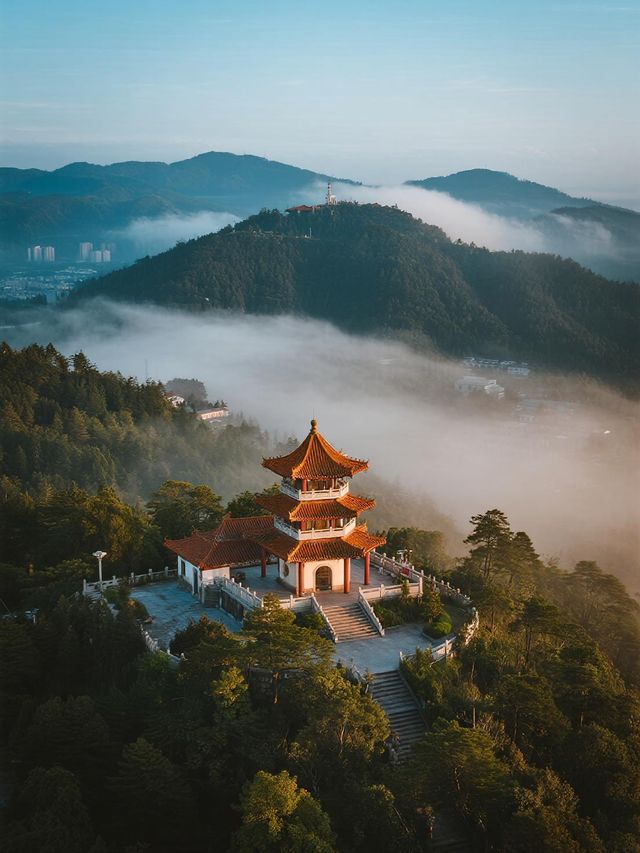 蜀南竹海秋天變身童話世界！這個竹林秘境美得不像話