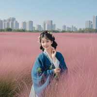 成都花海一日遊攻略