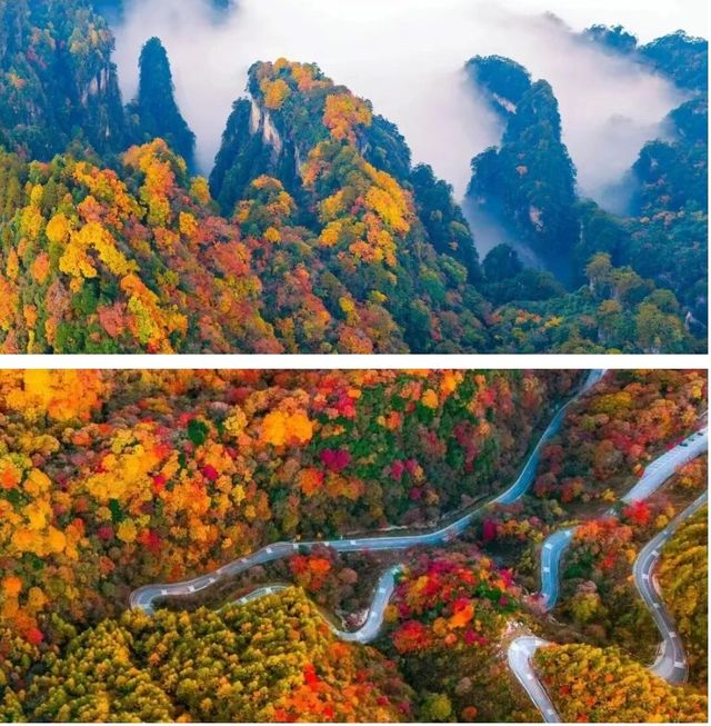 中國紅葉第一山！高鐵可達，即將漫山紅遍！