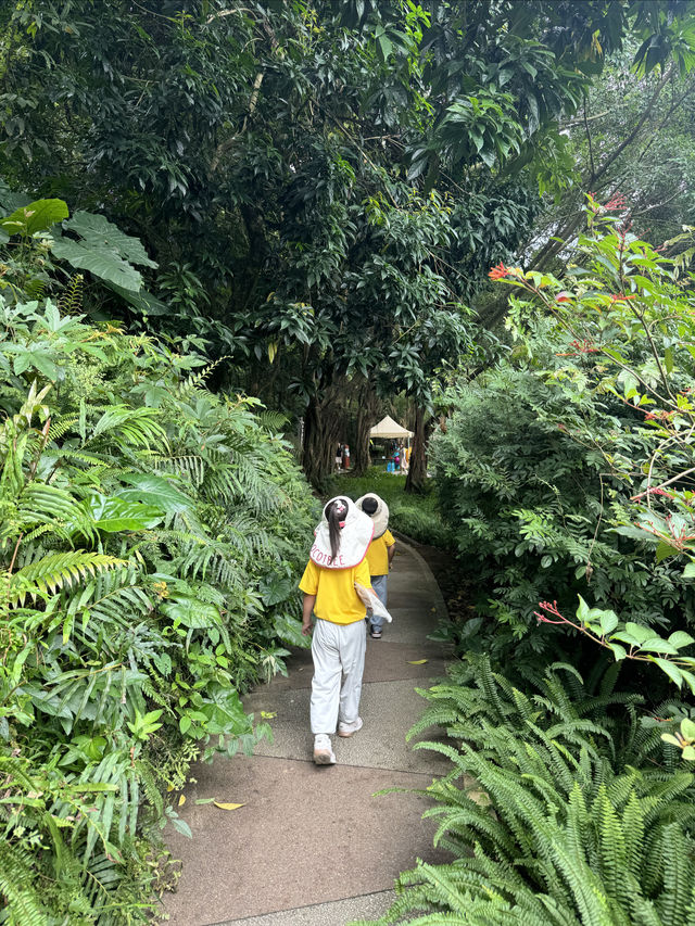 親子徒步好去處上帽峰山尋廣州早秋