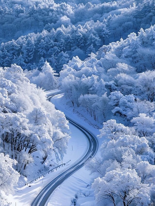 亞雪公路裹雪帶鬆如絲帶，一路風光醉人心