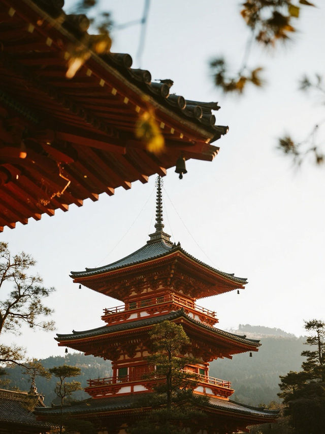 嵐山秋日手記｜在紅葉與流水間收藏王朝物語