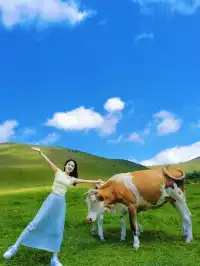 2天1夜壩上草原親子遊！省心省錢超全攻略