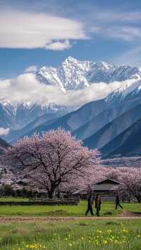 藏地美景2日全攻略