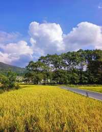 塔川把宮崎駿漫畫搬進了現實裡