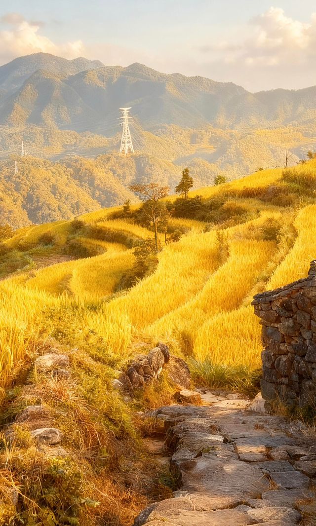 天台山秋色已封神