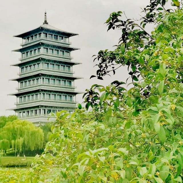帶你輕鬆玩遍西安市的綠肺