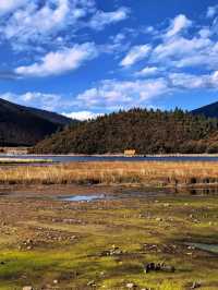 遇見魯朗日照金山