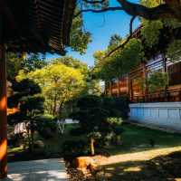 ๐์ํ์ด์ ํ ๋น๋๋ผ ํ ์ ์, ๊ฐ์์ ์๋ฒฝํ ์ ์ทจ ๐ฏ