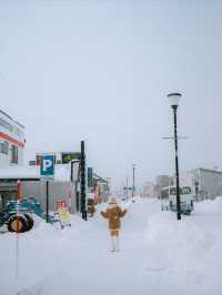 冬日札幌省錢攻略
