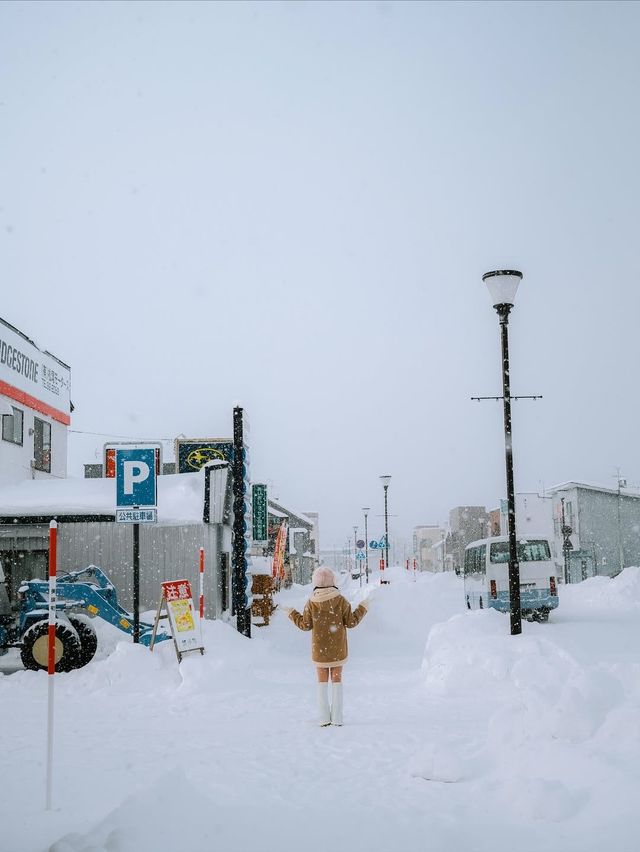 冬日札幌省錢攻略