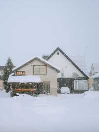 冬日札幌省錢攻略