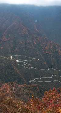 漢中龍頭山一日遊四川周邊遊秋天必去打卡地