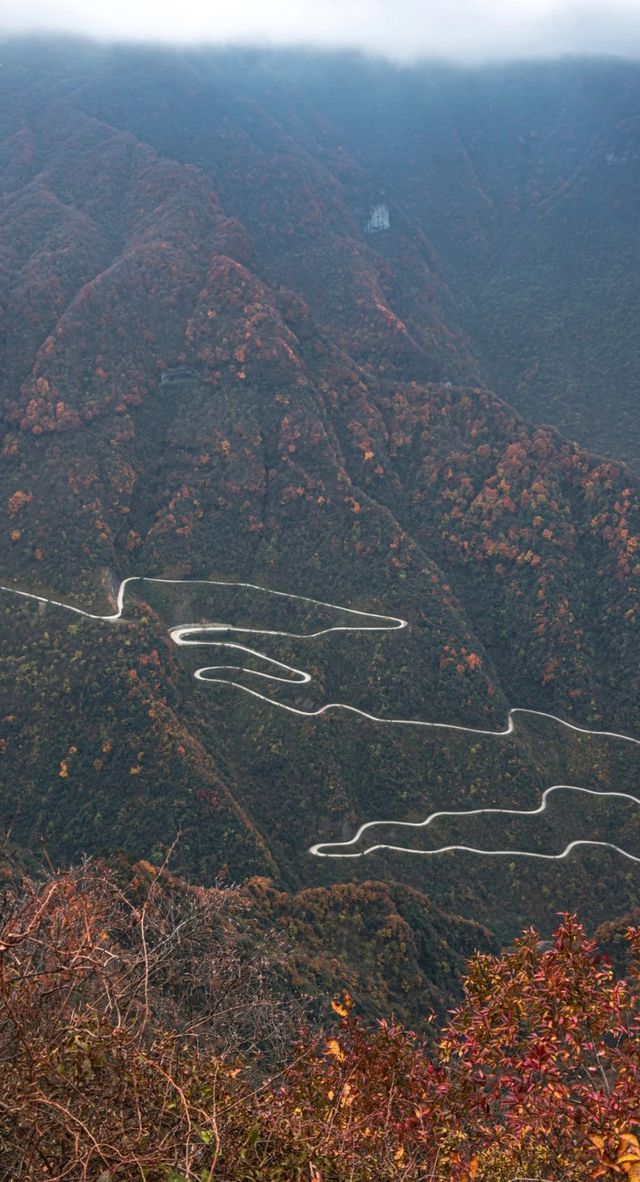 漢中龍頭山一日遊四川周邊遊秋天必去打卡地 漢中龍頭山一日遊四川周邊遊秋天必去打卡地