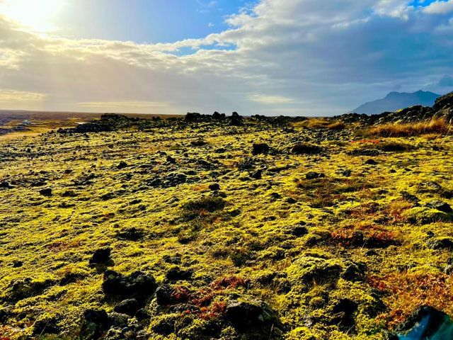 值得30小時飛行時間的風景 值得30小時飛行時間的風景