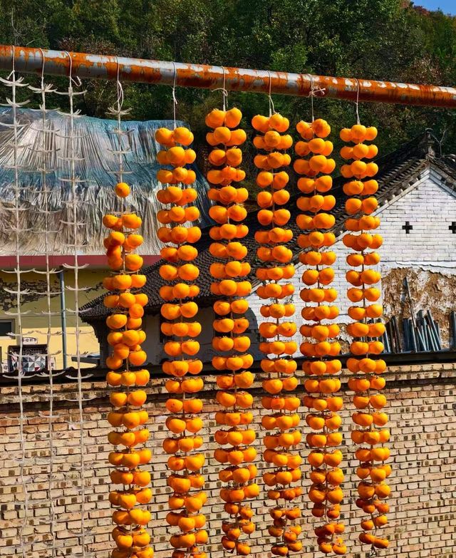 稷山附近旅遊去哪裡好玩 稷山附近旅遊去哪裡好玩