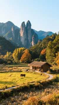 11月三清山四天三晚，玩轉天下第一仙山！住進雲海仙境！