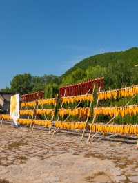 濟南-淄博3日遊不踩雷攻略來啦