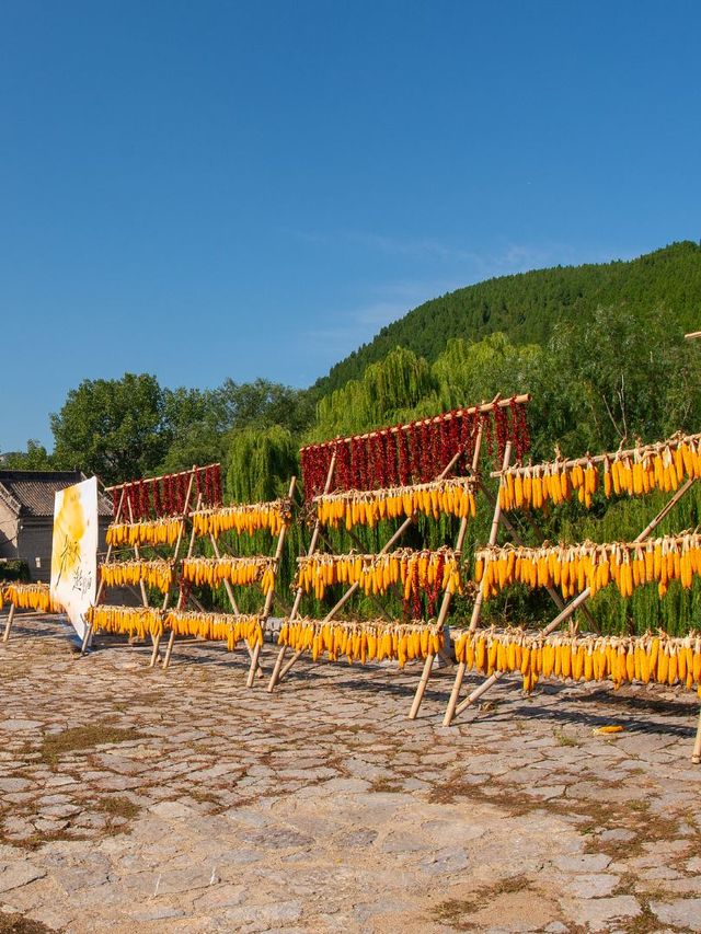 濟南-淄博3日遊不踩雷攻略來啦