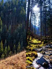 免費吸氧地！貴德江拉旅遊實用筆記