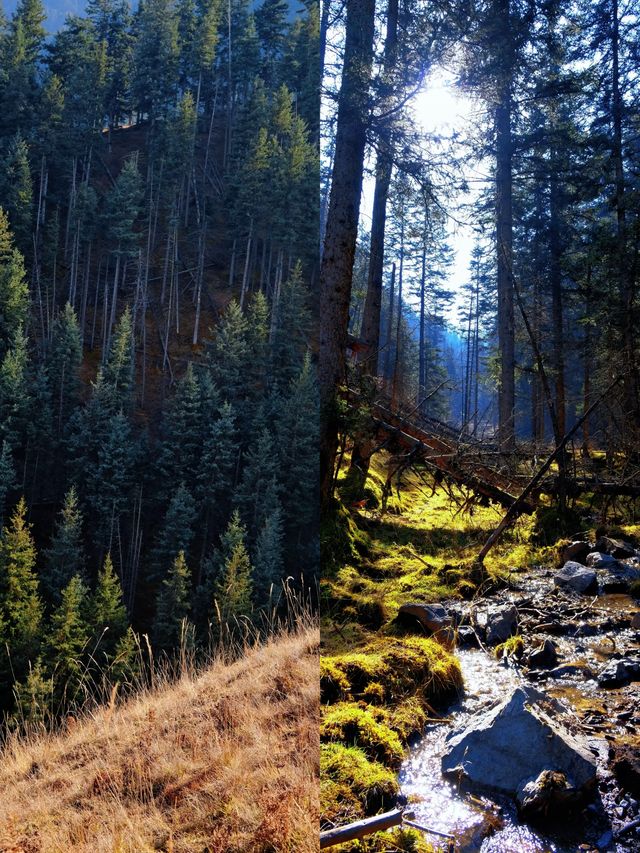 免費吸氧地！貴德江拉旅遊實用筆記