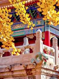 甘肅私藏！天水才是絲路真寶藏，彩林+千年人文美到失語