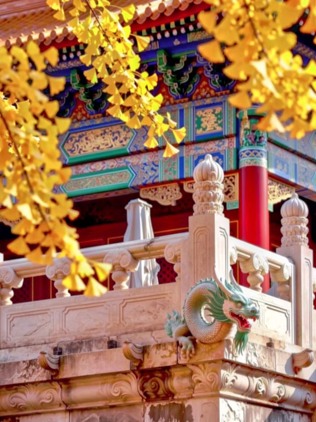 甘肅私藏！天水才是絲路真寶藏，彩林+千年人文美到失語