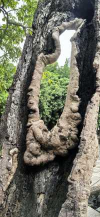 福州的禪意時光