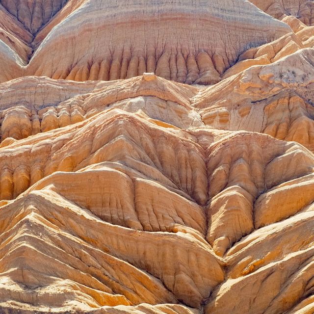 新疆胡楊林公園景區3天2夜5000元旅遊攻略