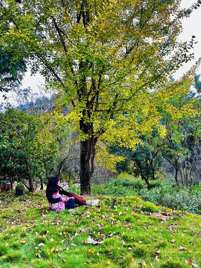 🍂 A Quiet Afternoon at Ziwei Mountain Villa 🍂 A Quiet Afternoon at Ziwei Mountain Villa